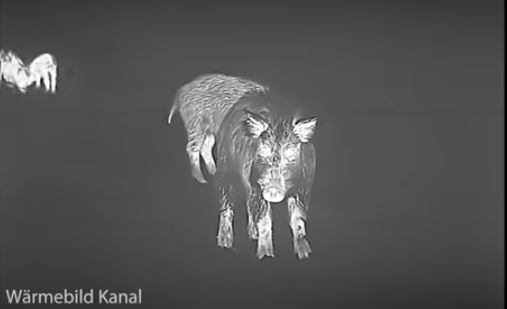 Wärmebild Kanal