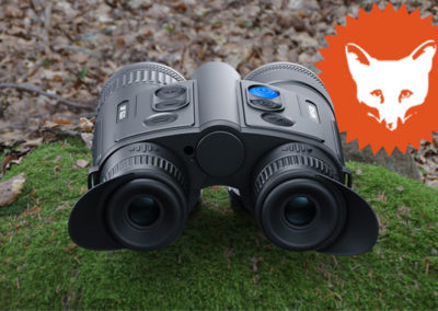 Pulsar Merger LRF XQ35 06