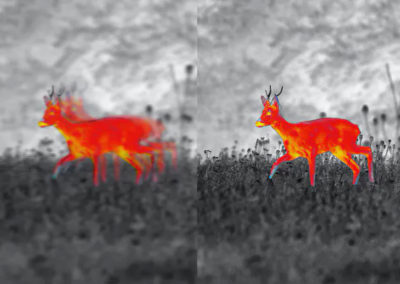 Zeiss DTI 3/25 - Hohe Bildwiederholfrequenz