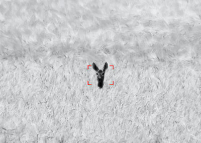 Zeiss DTI 3/25 - Hot Tracking